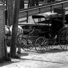 Horse and Carriage