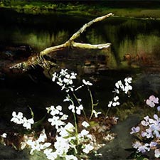 Andrew-Wyeth Ogunquit-Art-Museum