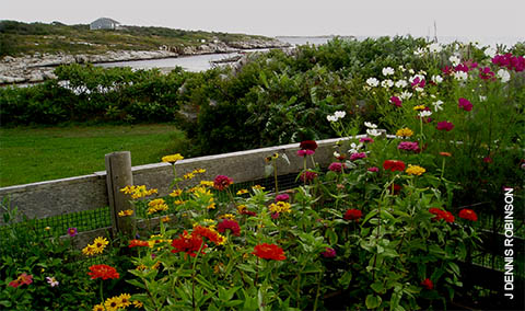 Celias Garden