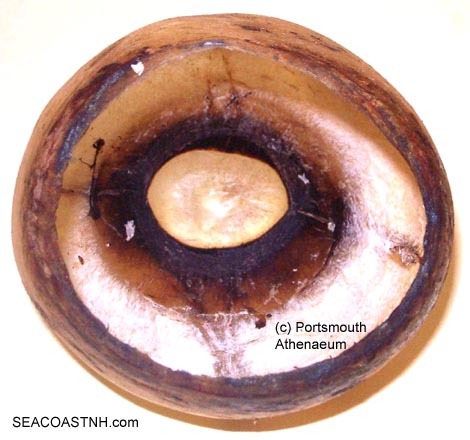 Probably not a whale's eyeball