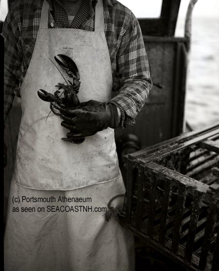 Lobster in hand in Portsmouth, NH 1953 (c) Portsmouth Atheneum