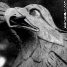 Bellamy eagle