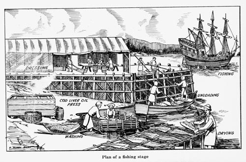 Fish_Opearation_in_Canada