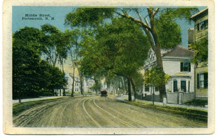 TREE_Middle_Street