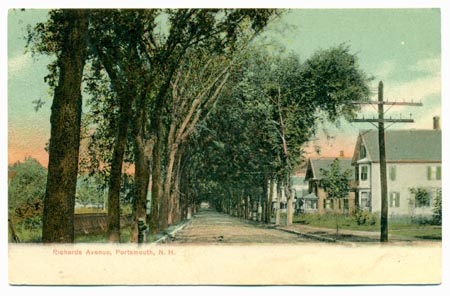 TREE_Richards_Ave