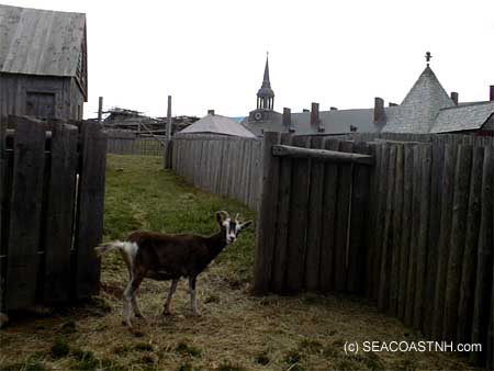 Inside Fort Louisbourg, Cape Breton/ SeacoastNH.com