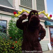 Moose shot in Maine by J. Dennis Robinson