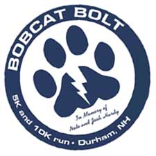 bobcat_bolt