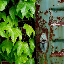 garden_tour_00
