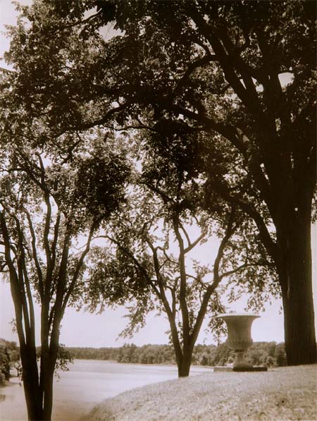 Hamilton_House_garden