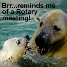 Polar_swim