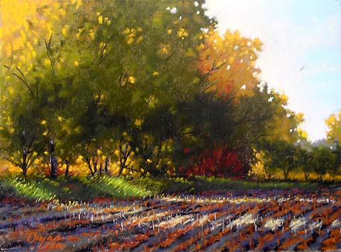 Seasons_Change_by_Garry_Ozias