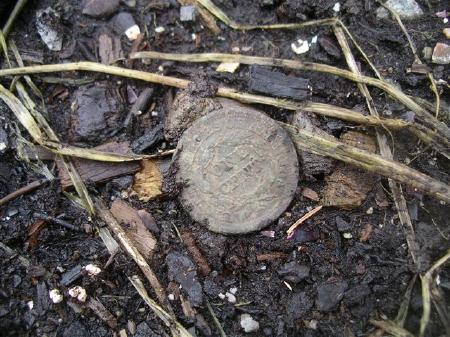 1853 penny found in garden at Star Island / Anderle Photo