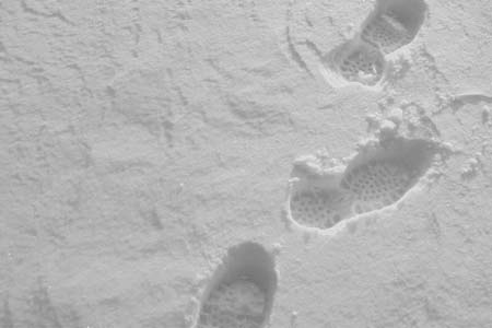 Footprints in the snow/ (c) Clipart.com