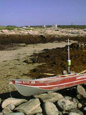 Cove at low tide / SeacoastNH.com